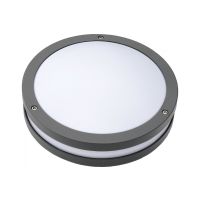 Šviestuvas v/t LED 13.6W IP54 3000K 1118lm D-265mm H-90mm Leo LED1x1200 D034 T830 - NORTHCLIFFE