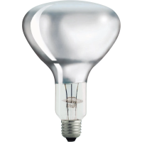 Lempa BR125 IR 250W E27 230-250V CL 1CT/10Lempa LED 2700K 1521lm PILA LED 100W A60 E27 WW FR ND 1CT/6 - PHILIPS (pavadinimas tikslinamas)