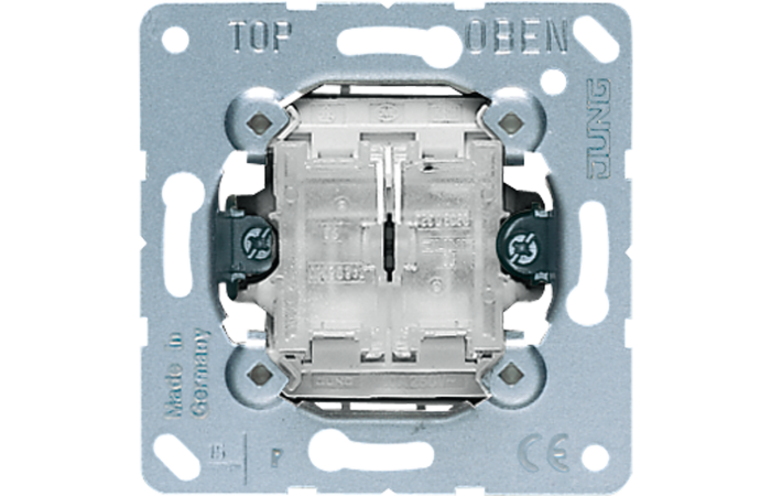 Jungiklis dvigubas mygtukas 10A 250V - JUNG