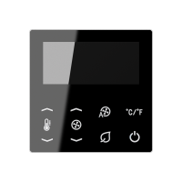 Display for temperature controller fan c - JUNG (pavadinimas tikslinamas)